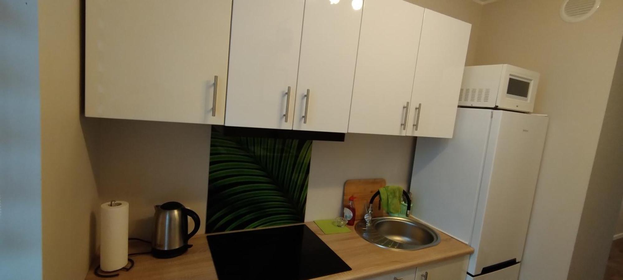 3 Apartment Poznan